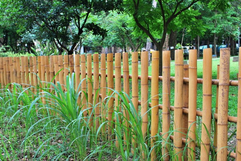 Bamboo Privacy Screen