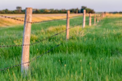 Get Wood Fence Post Removal!